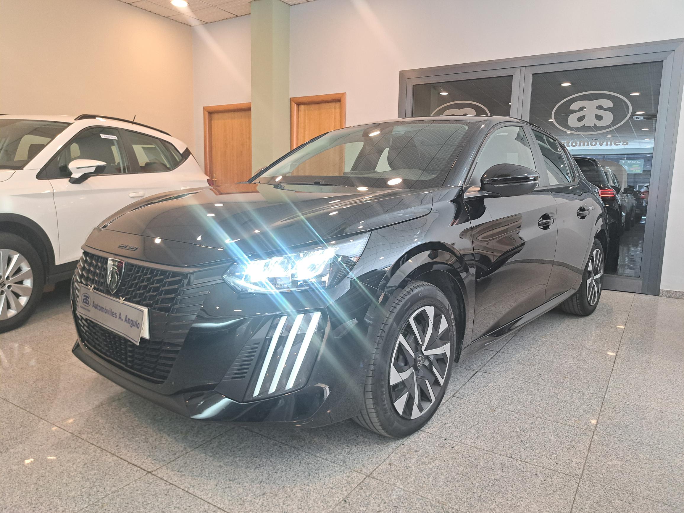 208 ACTIVE NEGRO (3)