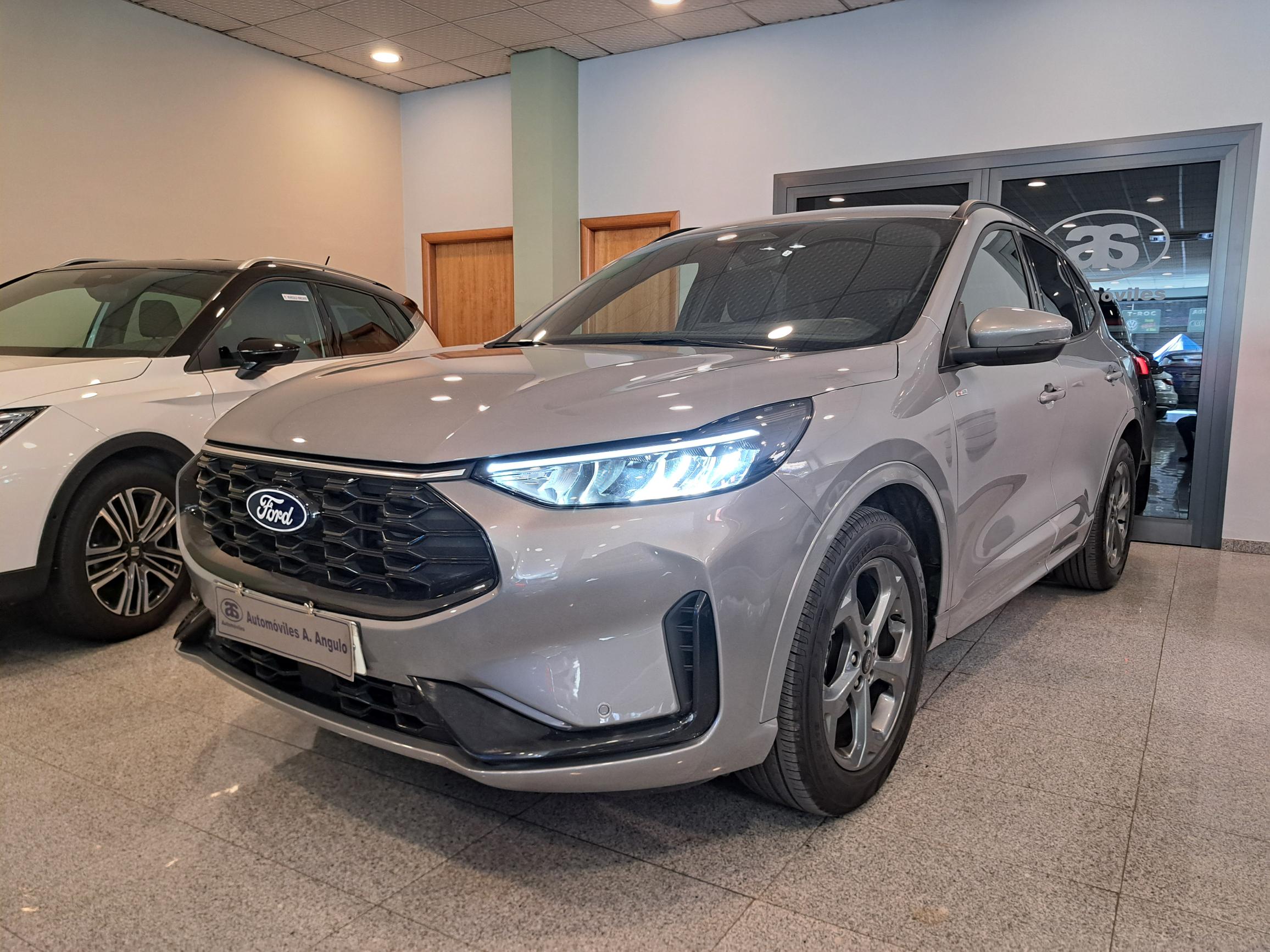 KUGA ST LINE GRIS (6)