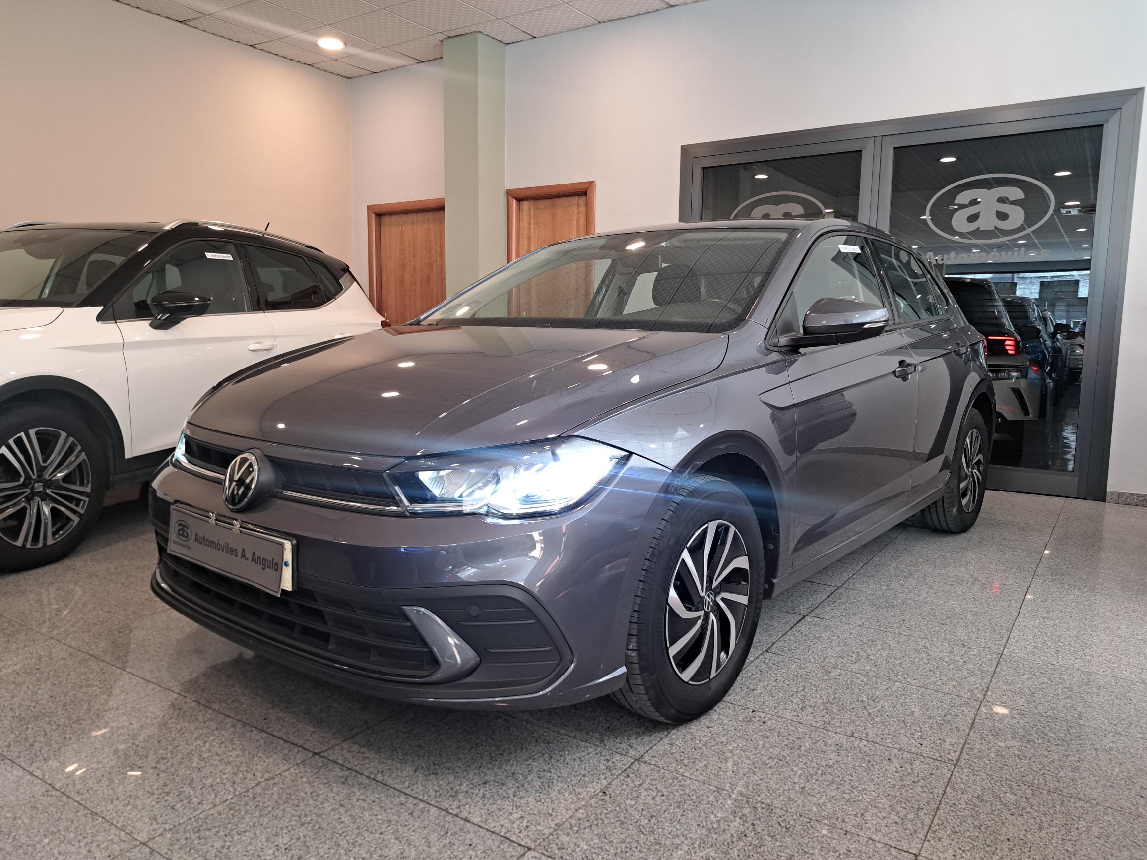 POLO GRIS (10)